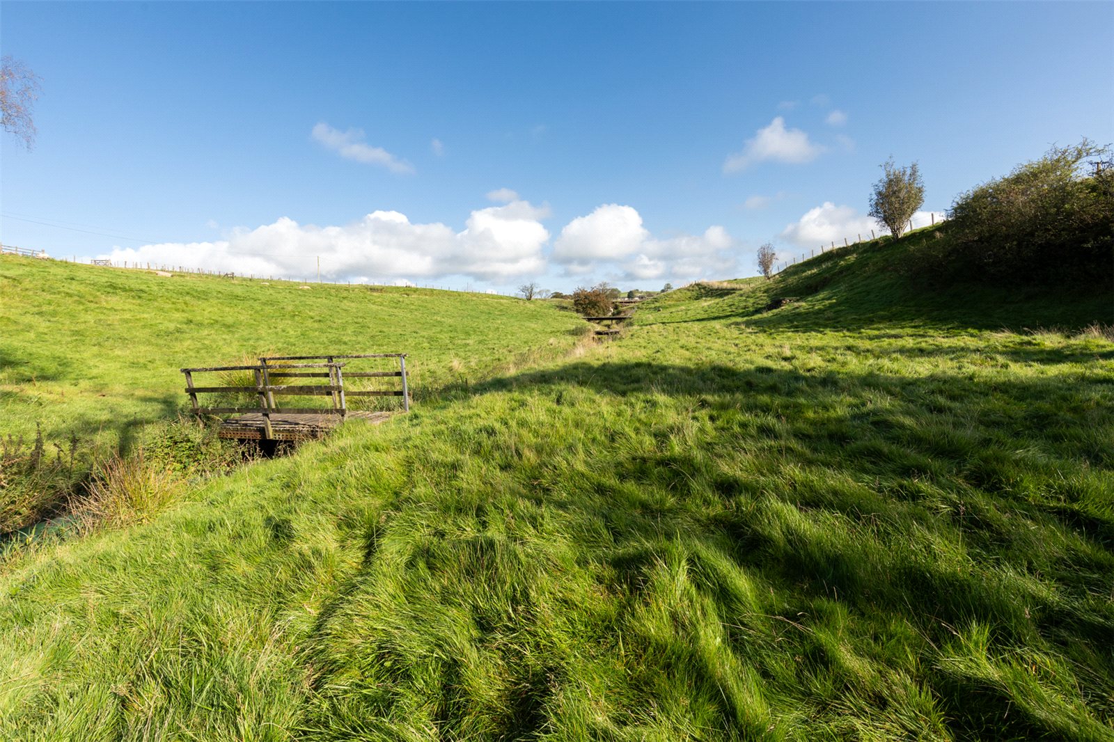 Land