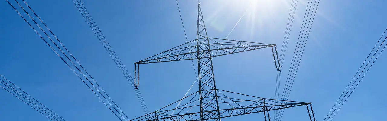 Net Zero electricity plan highlights safety concerns for farmers: Power Lines