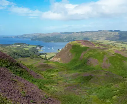 Land for sale offering a range of potential natural capital opportunities : Land At Glenmore 1