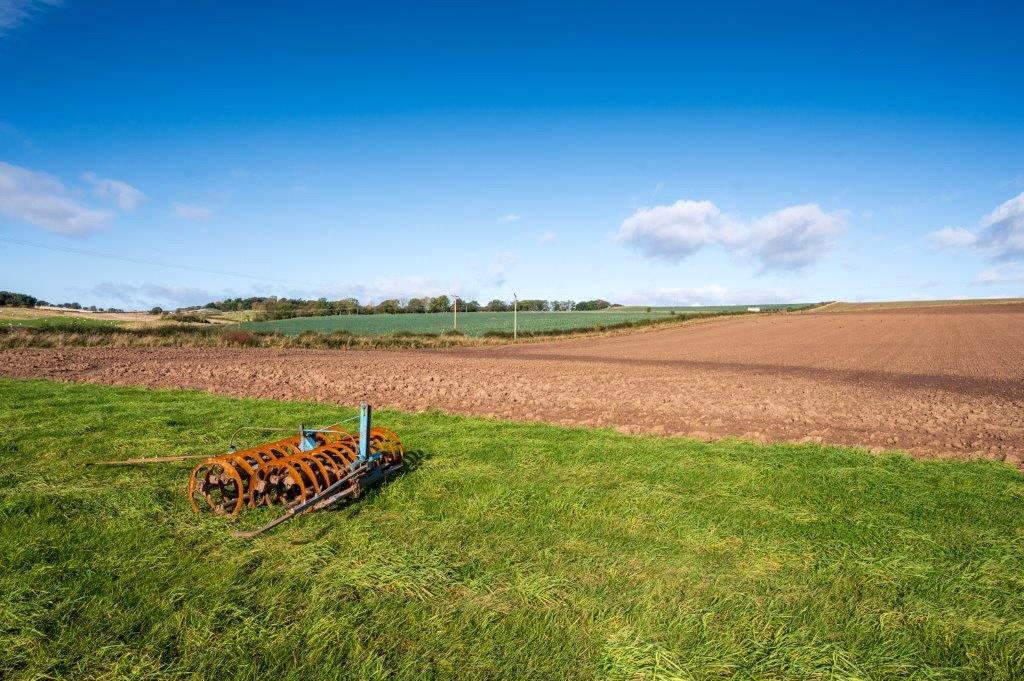 Farmland