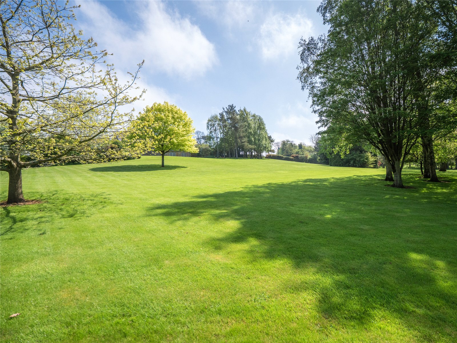 Lawns