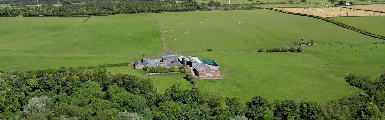 Productive mixed farming unit in same hands for over 100 years for sale in rural South Lanarkshire : Canderside Farm (7)