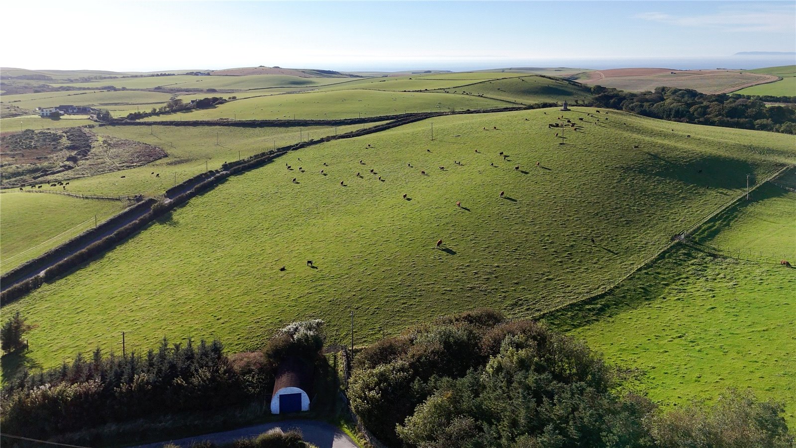 Pasture