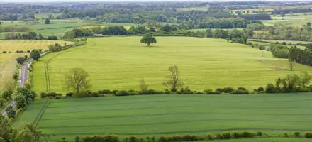 Productive arable land for sale in Northumberland : Land At Newton Red House | Galbraith