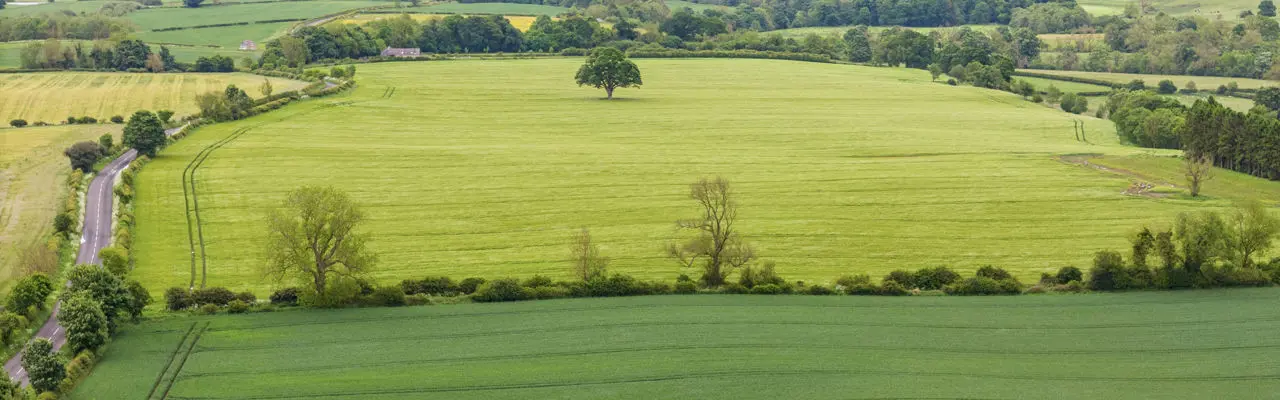 Productive arable land for sale in Northumberland : Land At Newton Red House | Galbraith