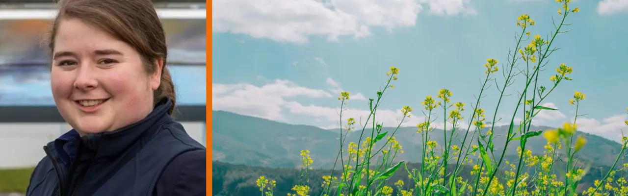Natural capital update: Much anticipated system boosts investment in environment : Borders (20)
