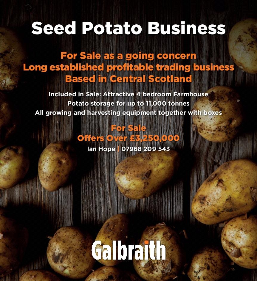 Seed Potato Business