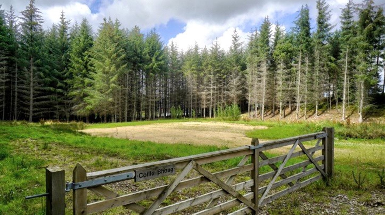Plot at Coille Bheag