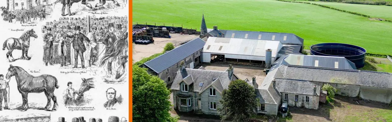 Farm known as 'Home of the Clydesdale' now for sale : Borders (19)