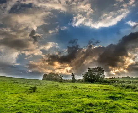 Natural capital update: Priorities for future farming support in Scotland unveiled: Farm | Natural Capital Update