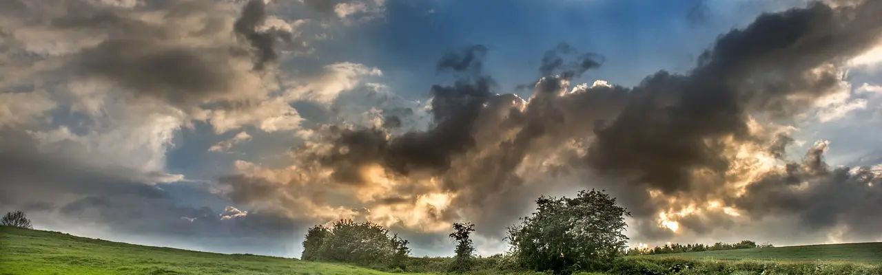 Natural capital update: Priorities for future farming support in Scotland unveiled: Farm | Natural Capital Update