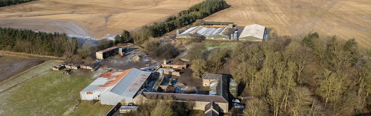 Pig and arable farm with development potential in accessible location : Chesterhall Farm 1