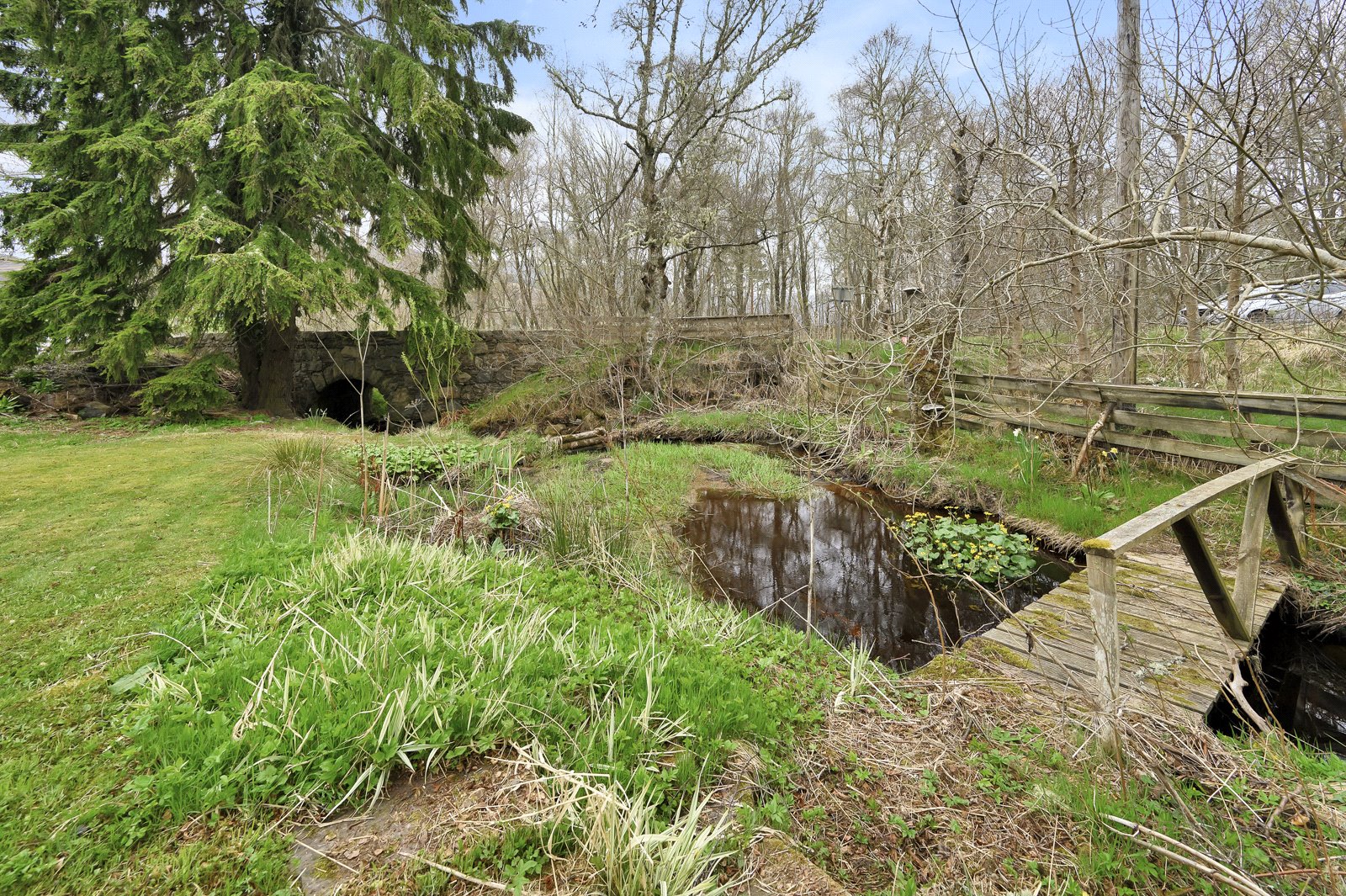 Grounds