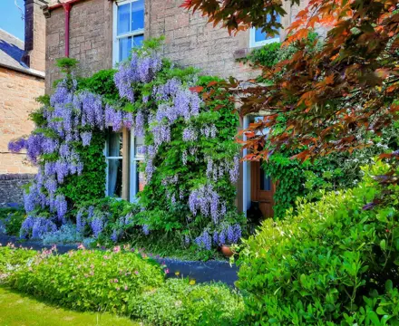 Charming Victorian villa with mature gardens and outbuildings in historic Lochmaben: Garpol 2