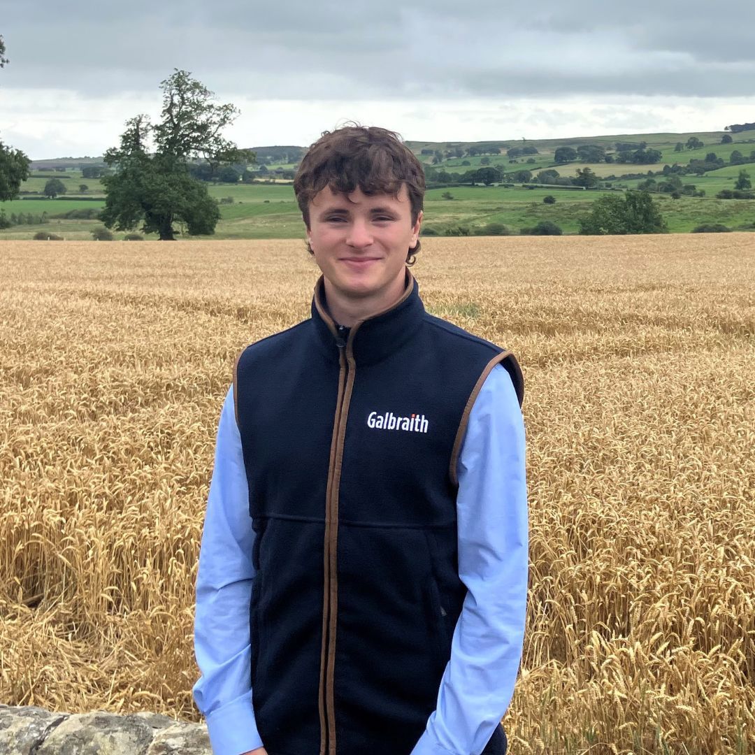 Paul Carroll | Galbraith