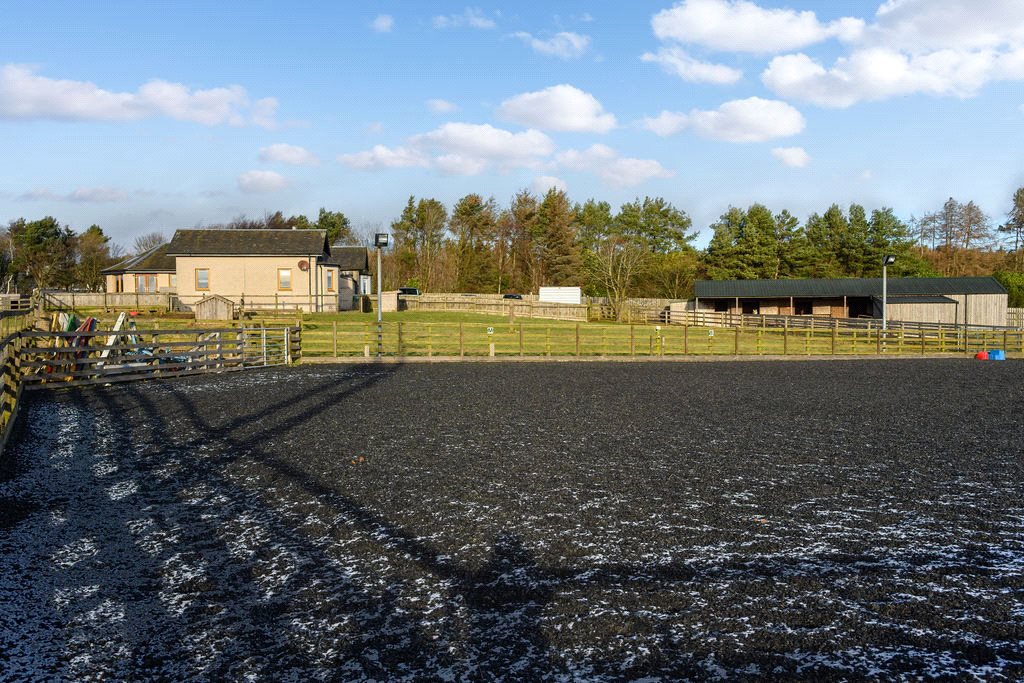 Outdoor Arena