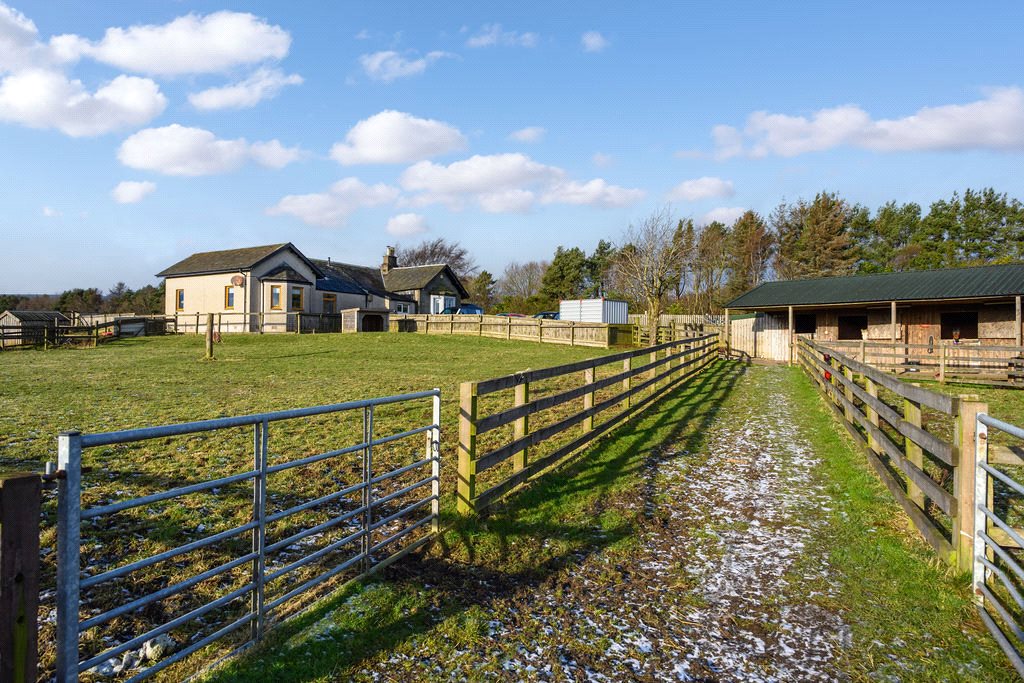 Paddocks