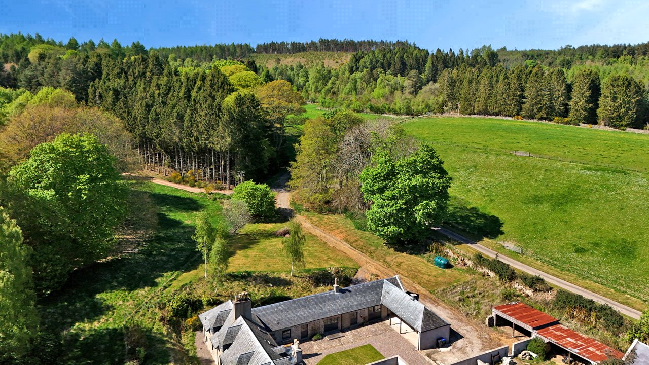 Drone View
