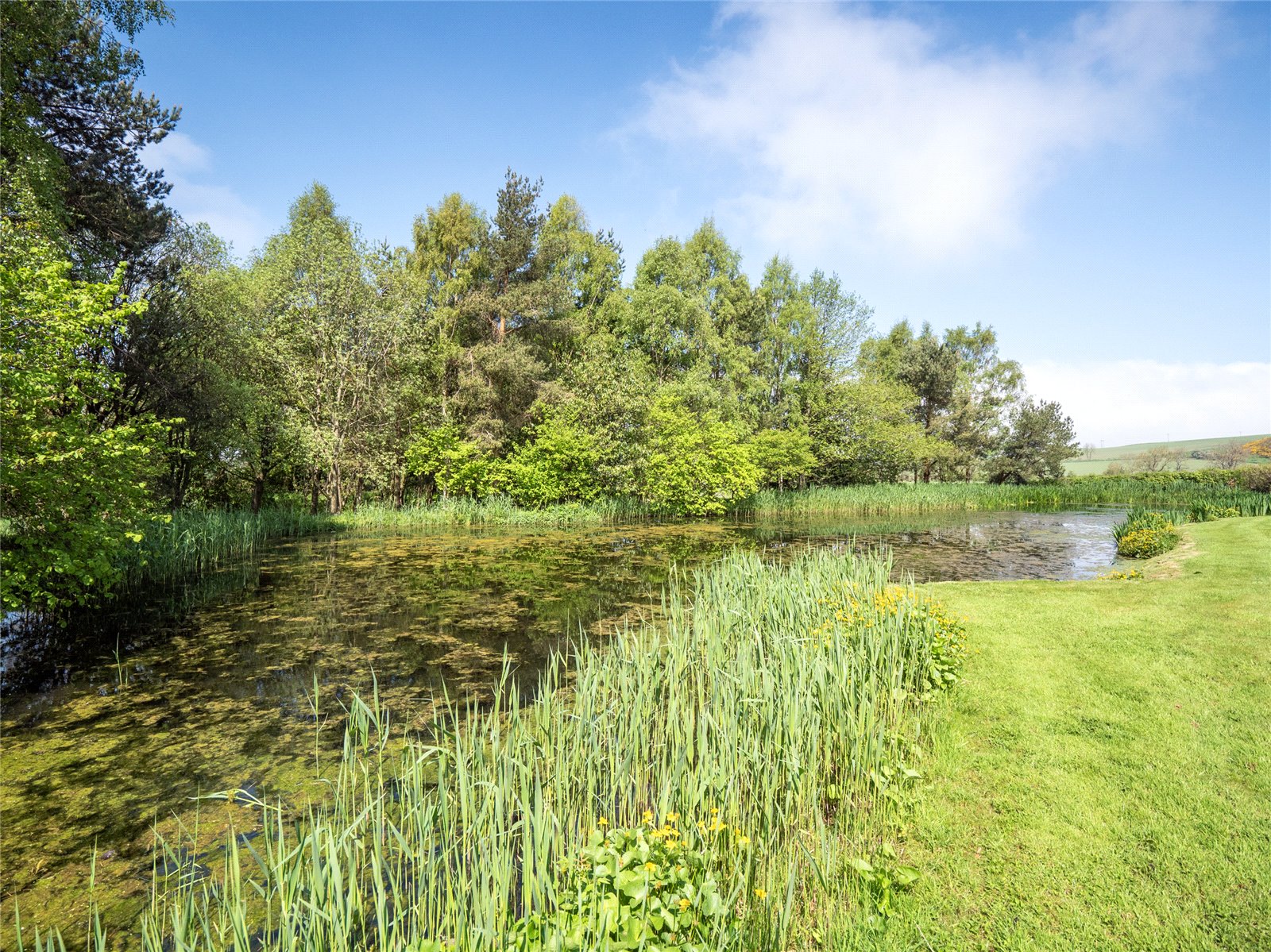 Pond 2