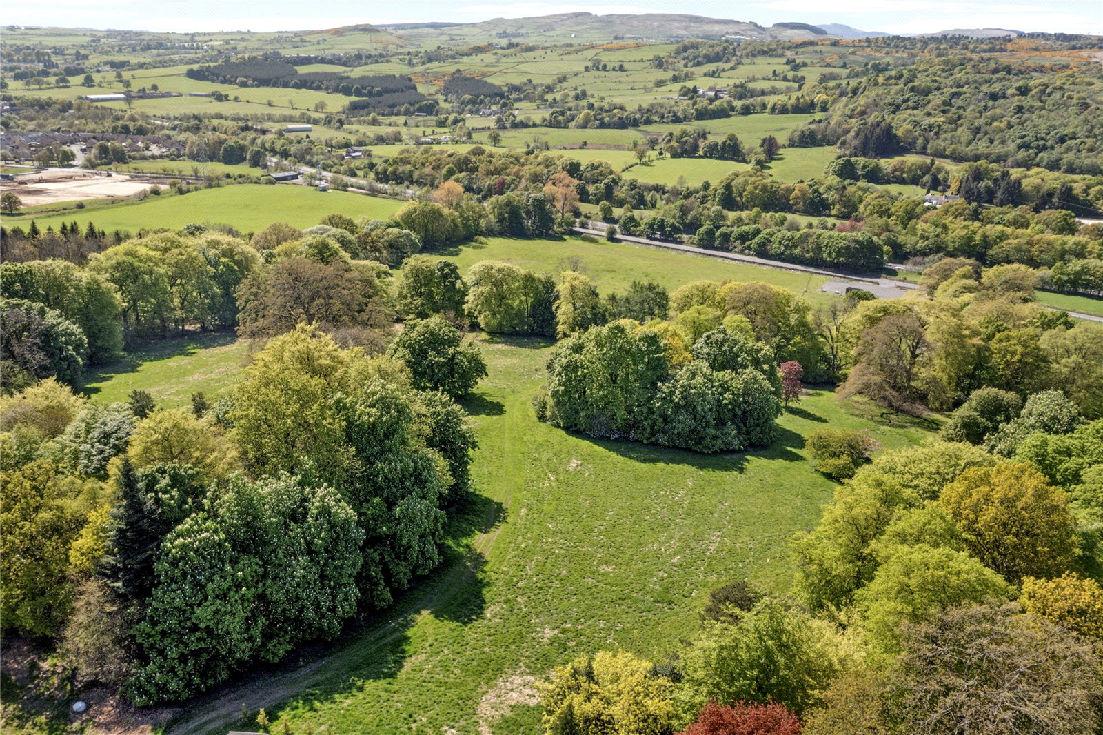 Rolling Parkland