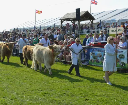Westmorland County Show 2023: Westmorland Show