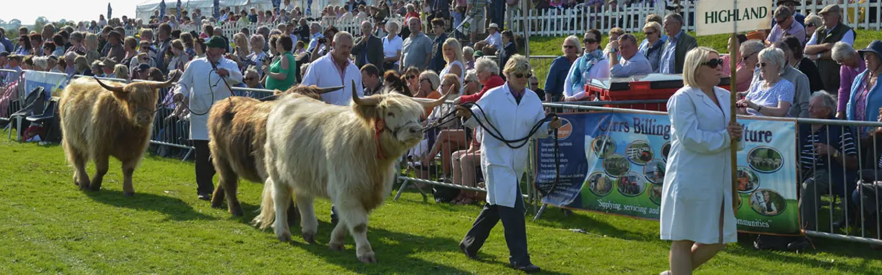 Westmorland County Show 2023: Westmorland Show