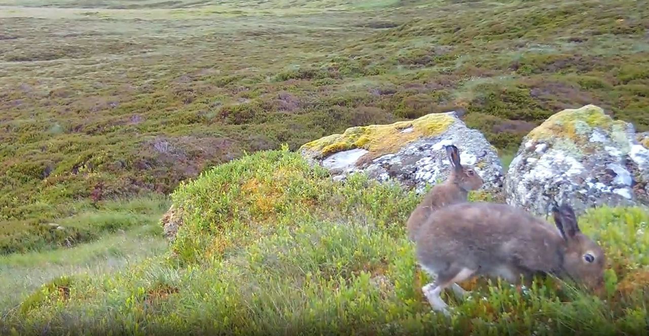 Natural capital update: Letters and numbers matter in winning positive nature outcomes : WES Article 1