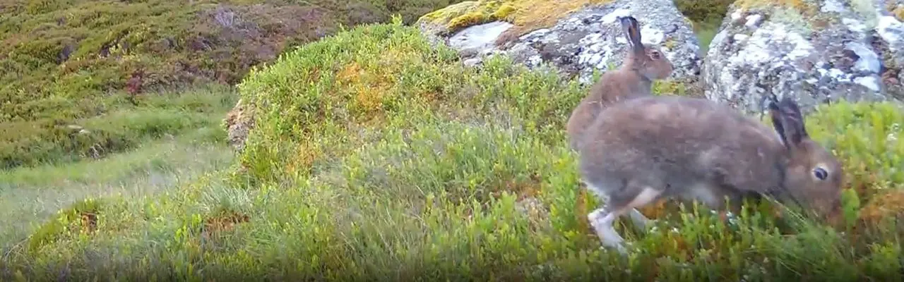 Natural capital update: Letters and numbers matter in winning positive nature outcomes : WES Article 1