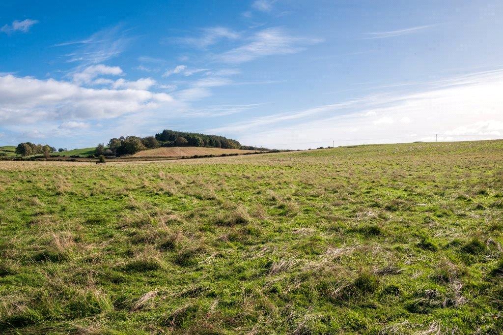 Farmland