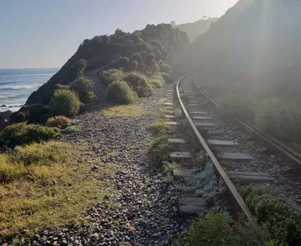 Natural capital update: Natural capital and the art of patience: Natural capital and the art of patience