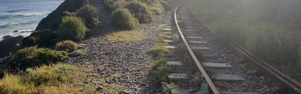 Natural capital update: Natural capital and the art of patience: Natural capital and the art of patience