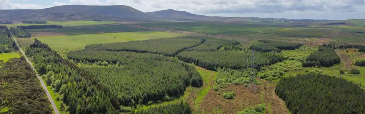 Extensive Commercial Forestry for Sale close to Edinburgh: 1655284099 Buteland1 808X455