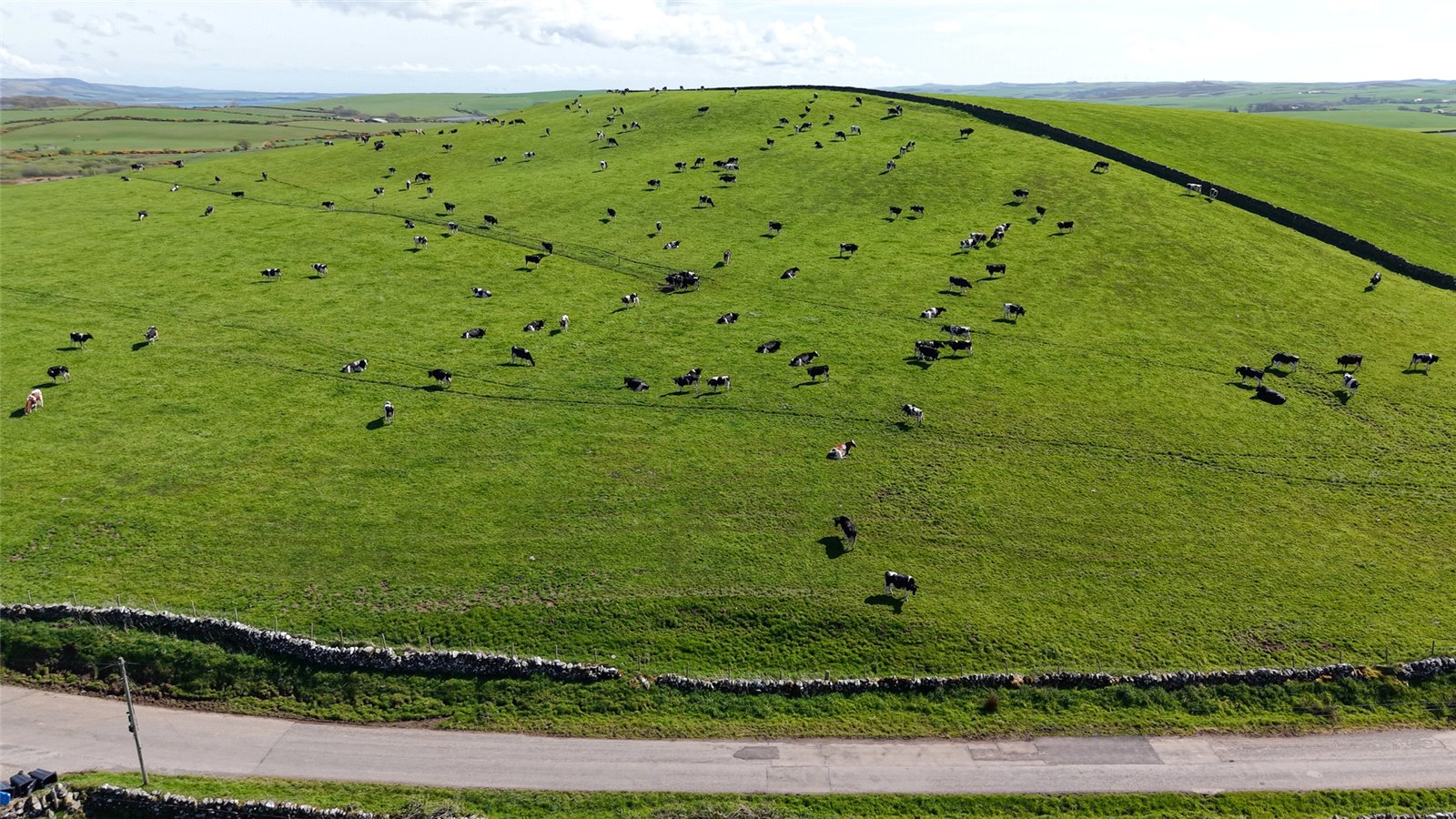 Pasture