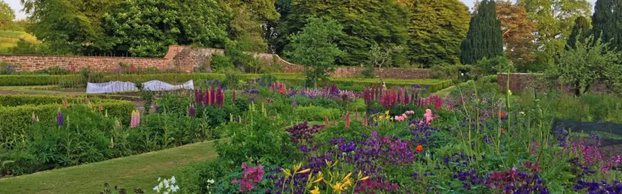 Walled Gardens- A Labour of love and a force for good: 1611590200 Amisfield Walled Garden 1 808X455