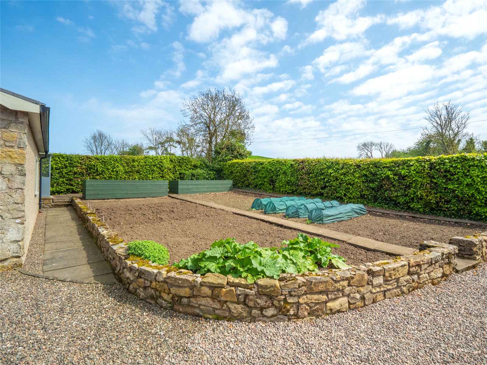 Veg Garden