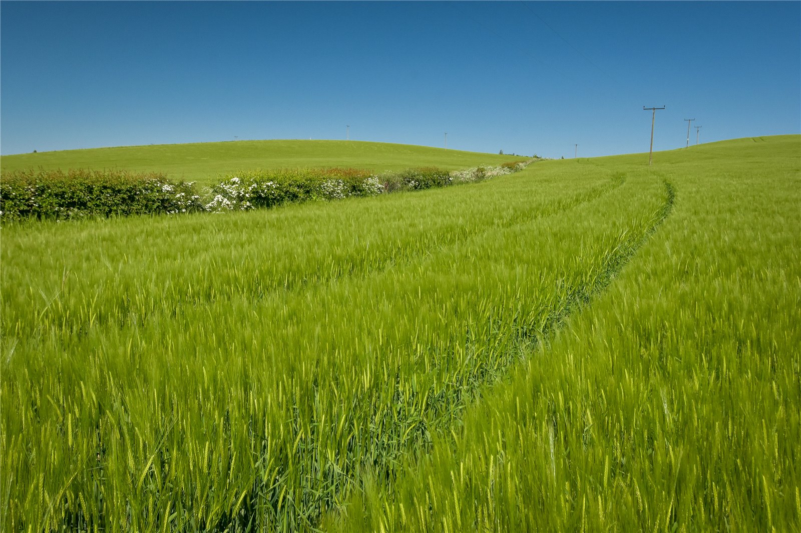 Letham Farm
